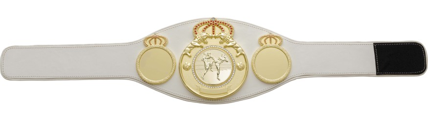 THAI BOXING CHAMPIONSHIP BELT PROLION/G/TBOG - AVAILABLE IN 6+ COLOURS THAI BOXING CHAMPIONSHIP BELT PROLION/G/TBOG - AVAILABLE IN 6+ COLOURS